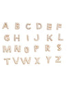 Mikhaela | Letter Earrings 18k Gold